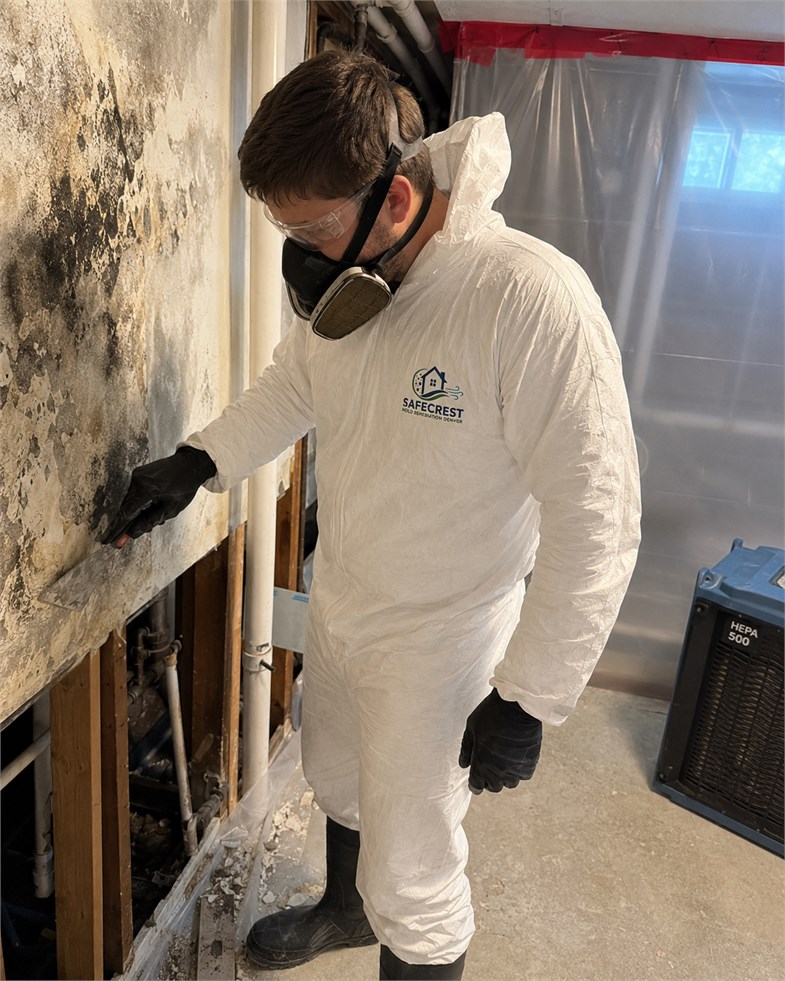 Technician using a moisture inspection tool near visible dark mold growth on a wall
