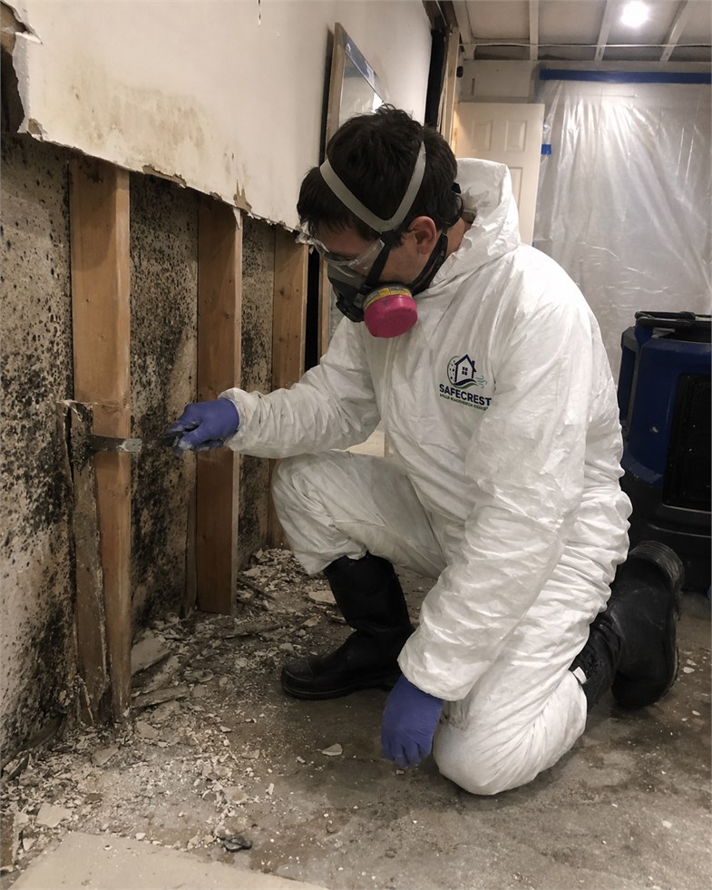 Mold remediation worker treating affected exposed wall studs with protective equipment
