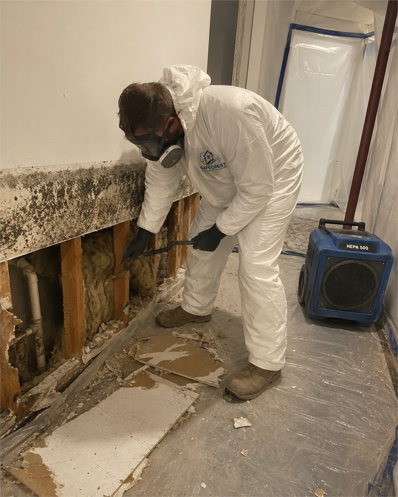 Lower wall area prepared for affected-material removal and cleaning