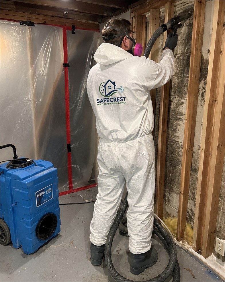 Mold remediation technician setting up containment sheeting near an affected wall in Denver